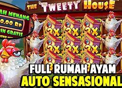 The Tweety House Slot Hari Ini Live Result Hk Tercepat